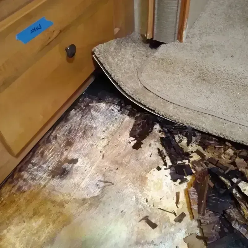 Wood Floor Water Damage in Gladeview, FL